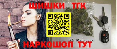 стаф Гатчина