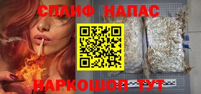 стаф Гатчина