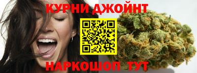 стаф Гатчина