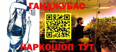 стаф Гатчина