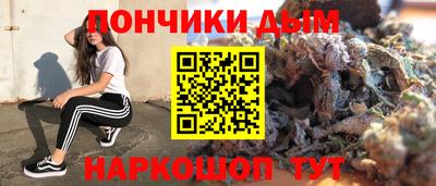 стаф Гатчина