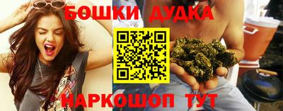 стаф Гатчина
