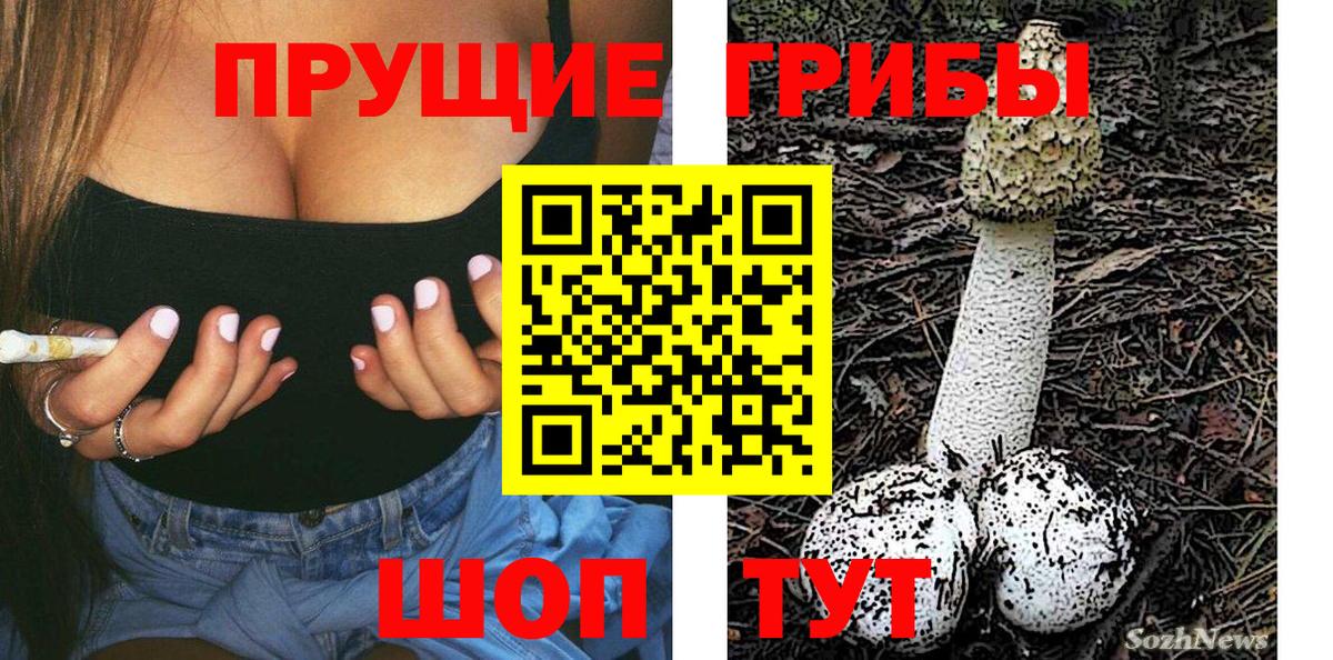 Галлюциногенные грибы Psilocybe  Вход с VPN  Псилоцибиновые грибы Psilocybe  даркнет сайт  Новоалександровск 